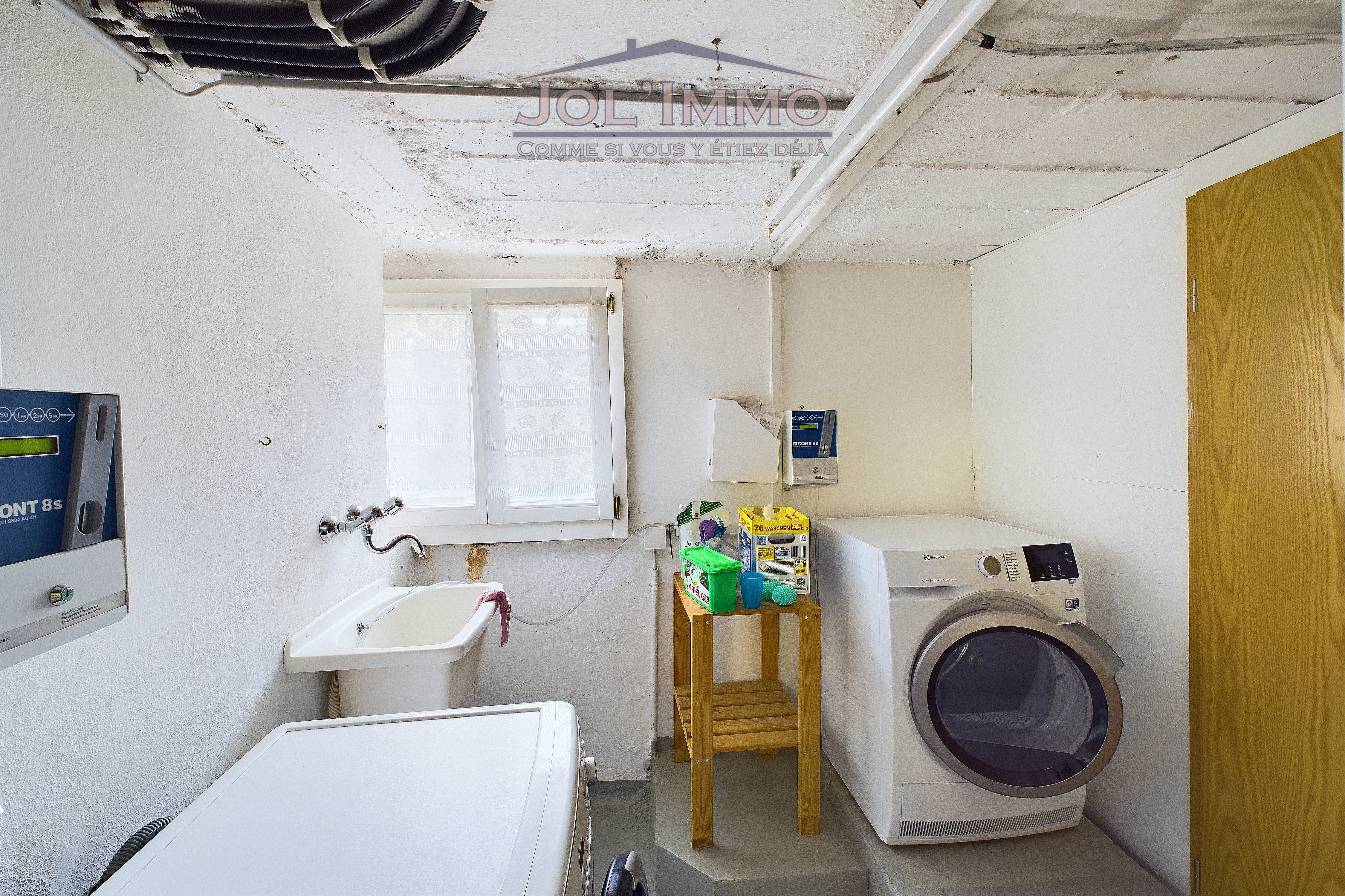 Hauswirtschaftsraum mit Waschmaschine und Spülbecken