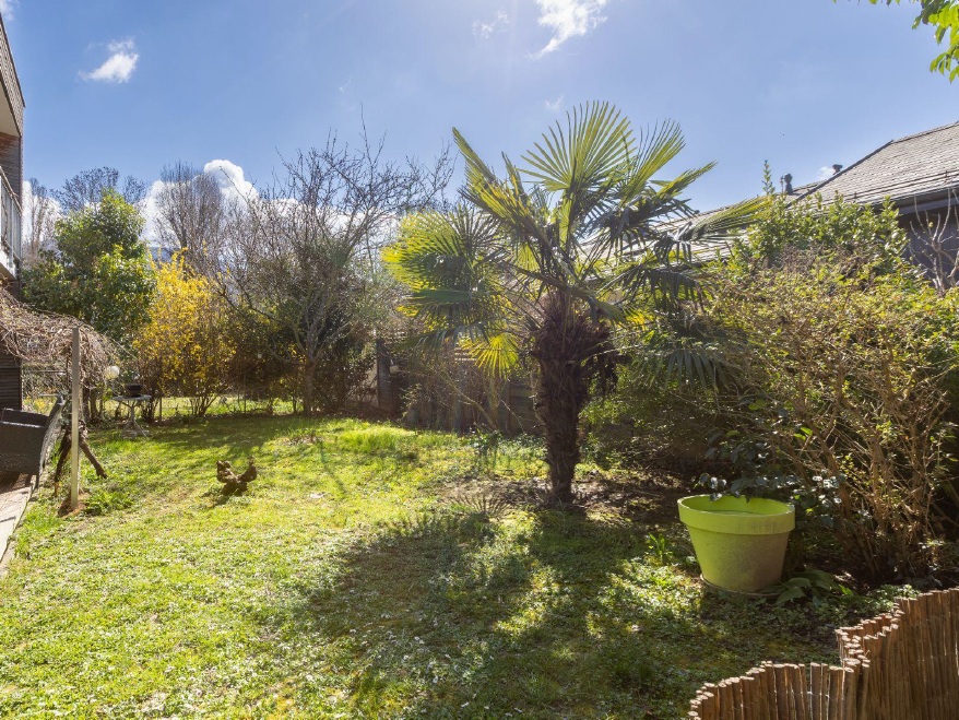 Garten mit Palmen und Rasen