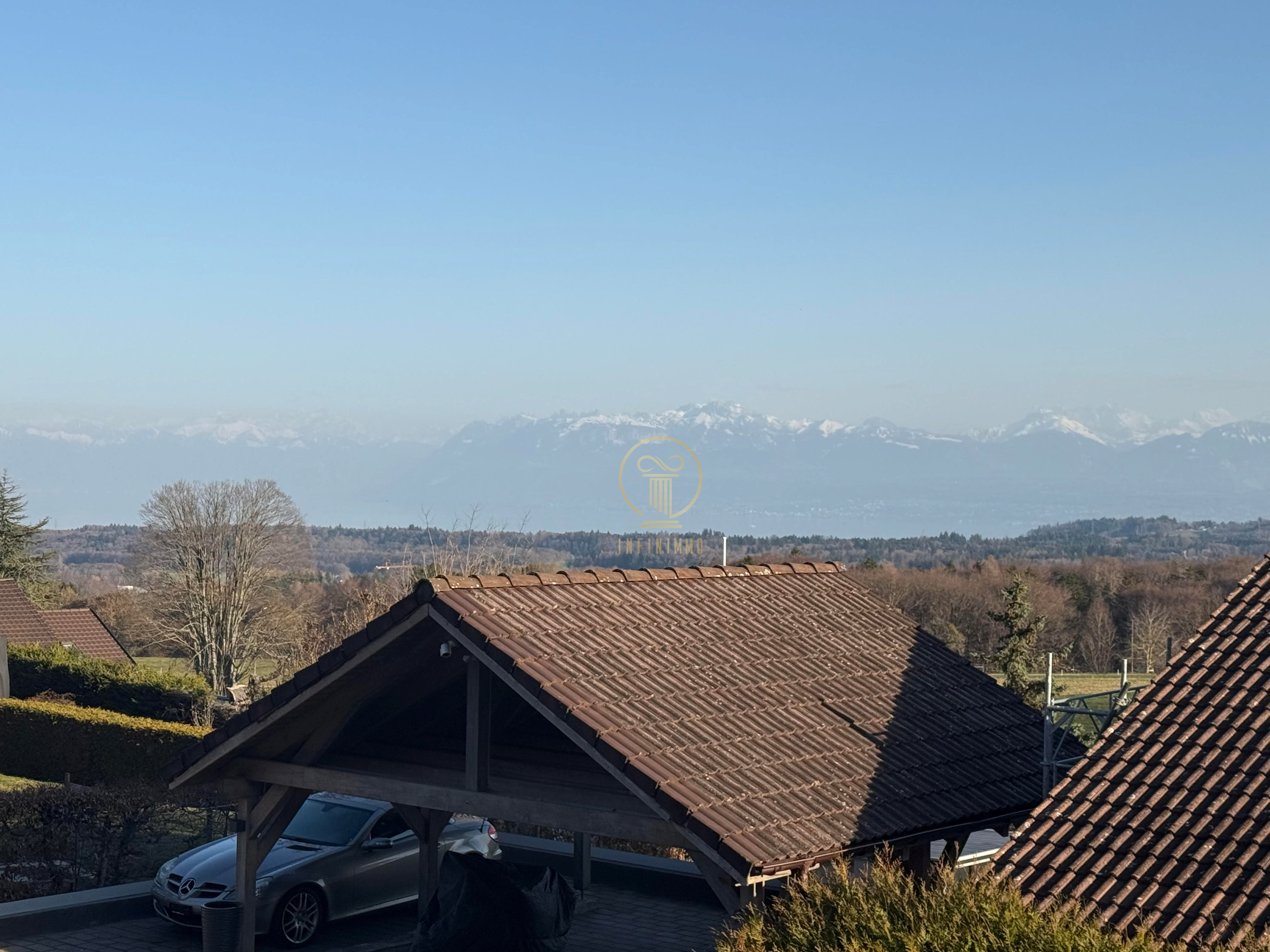 Dach mit Alpenblick