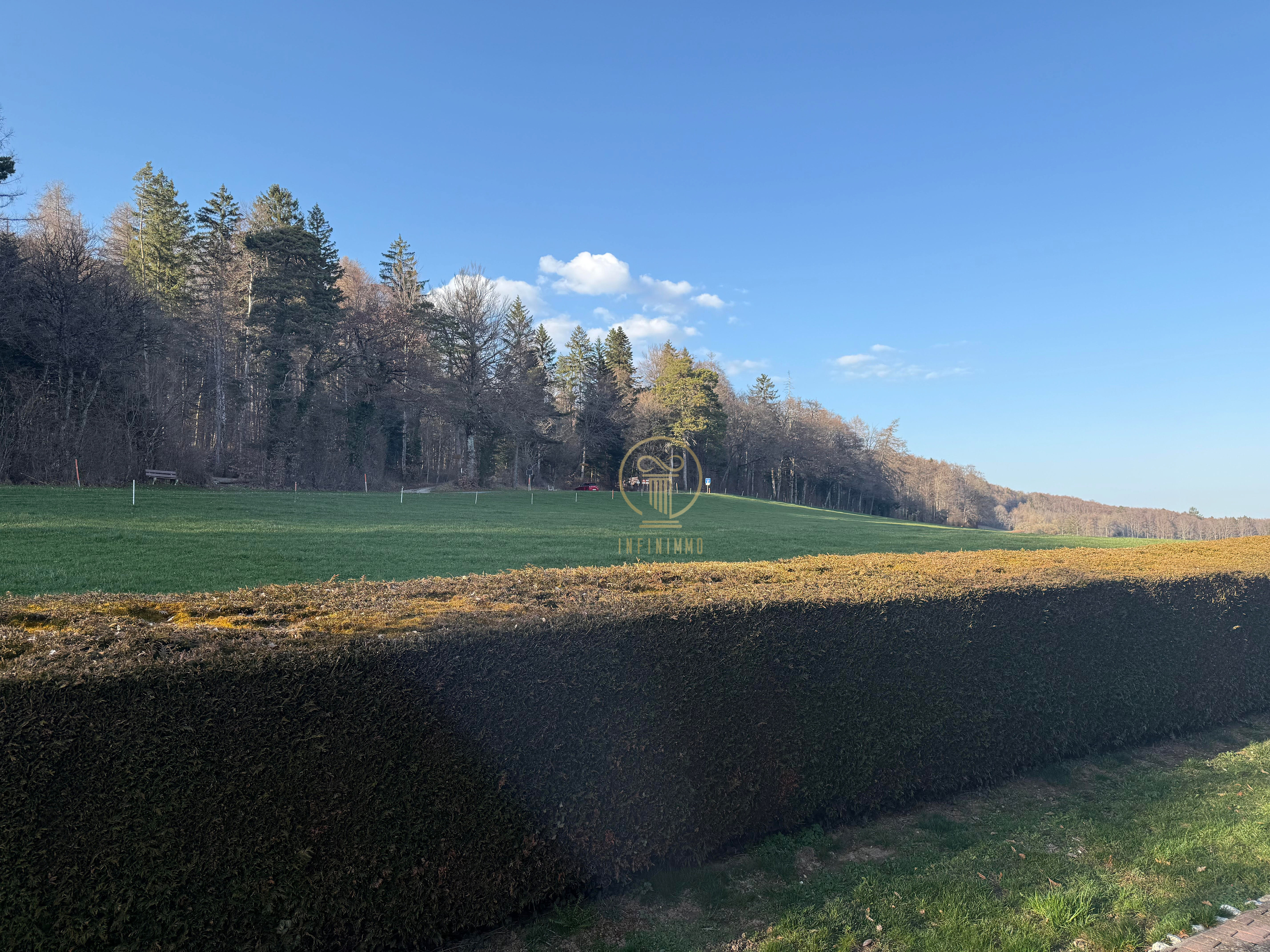 Wiese am Waldrand