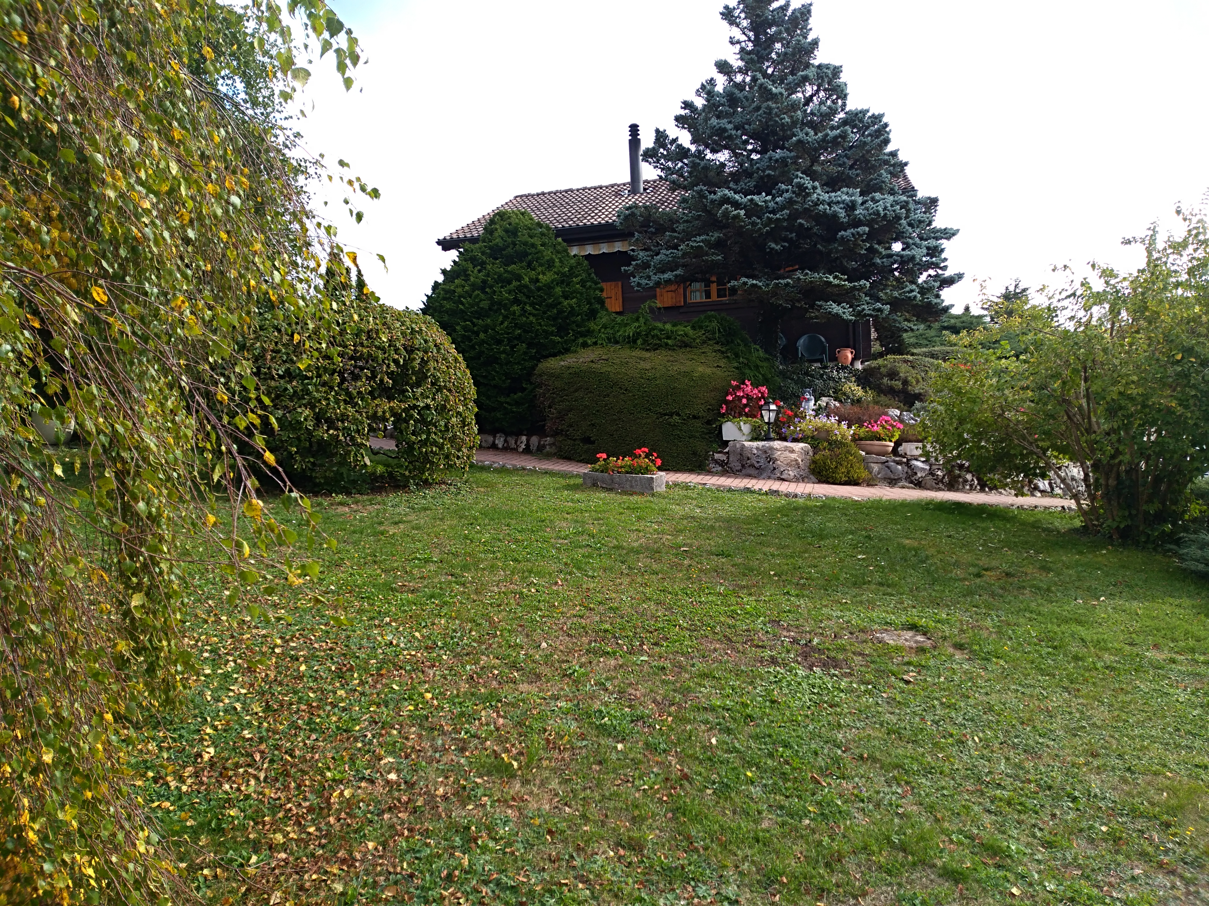 Großer Garten mit Wohnhaus im Grünen