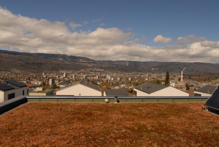 Dachterrasse mit Stadt- und Bergblick