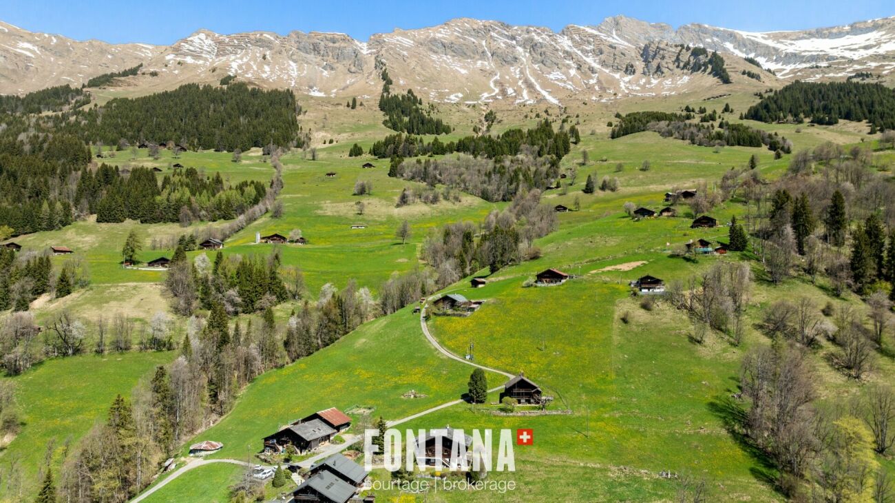Alpine Wiesen- und Berglandschaft