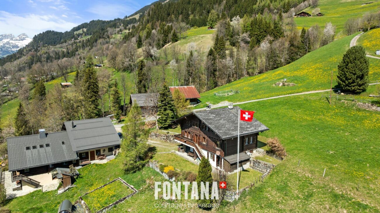 Alpenlandschaft mit Chalet-Häusern