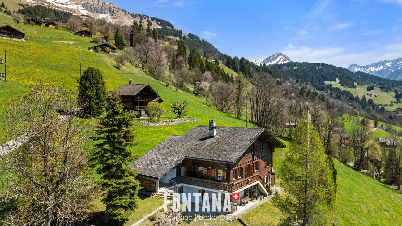 Alpines Chalet mit Bergpanorama