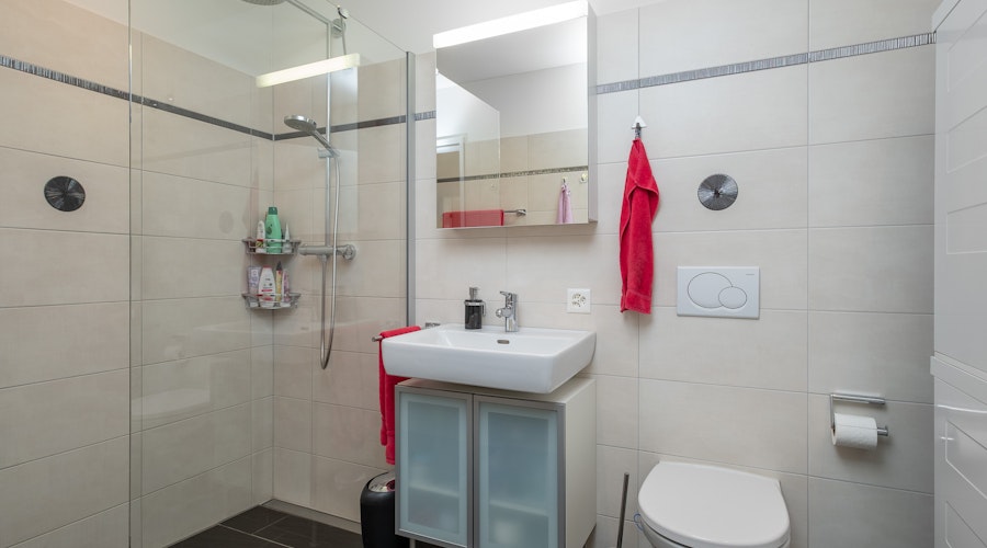 Modernes Badezimmer mit Dusche und Waschtisch