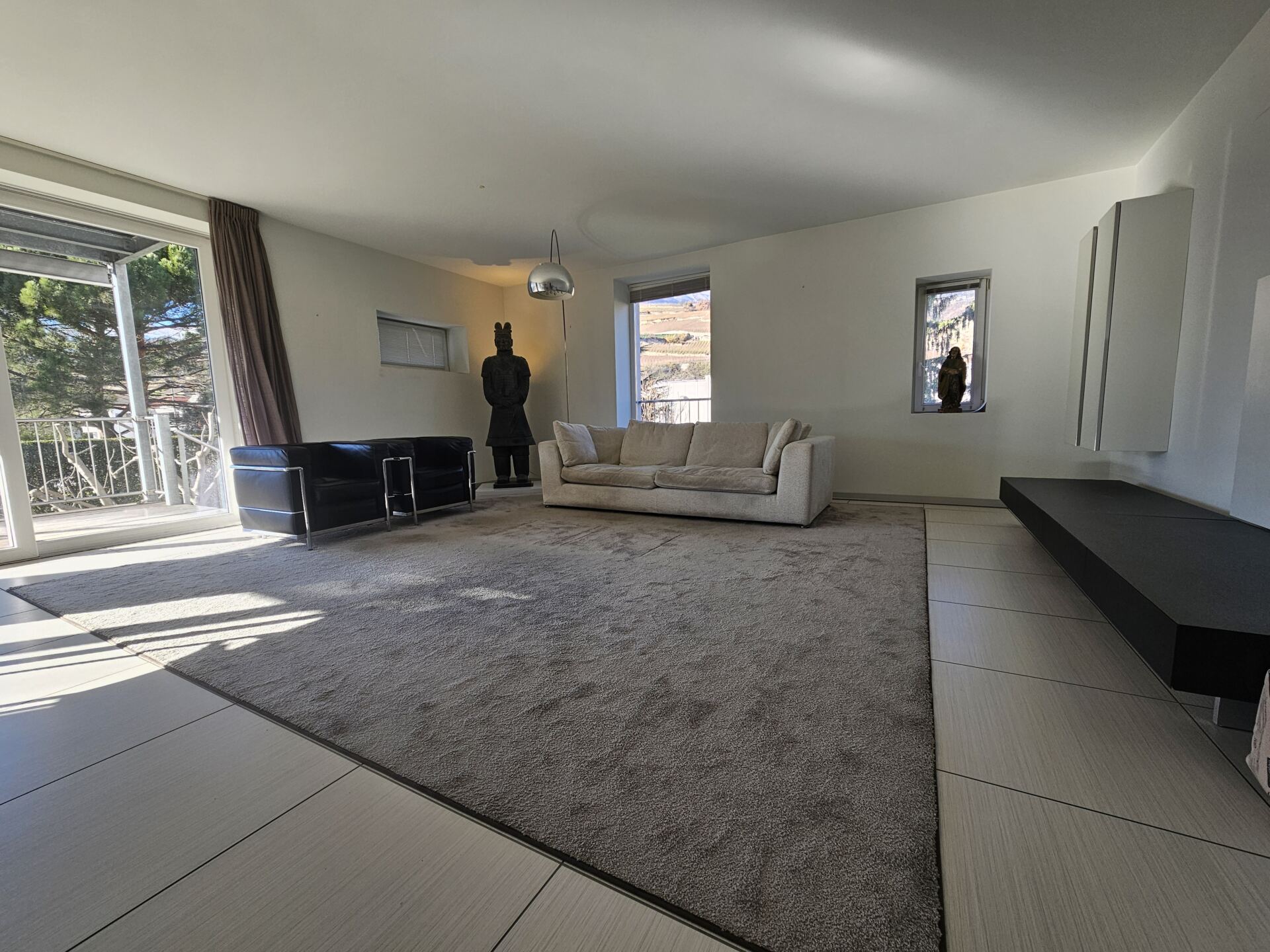 Modernes Wohnzimmer mit großem Teppich und Balkonblick