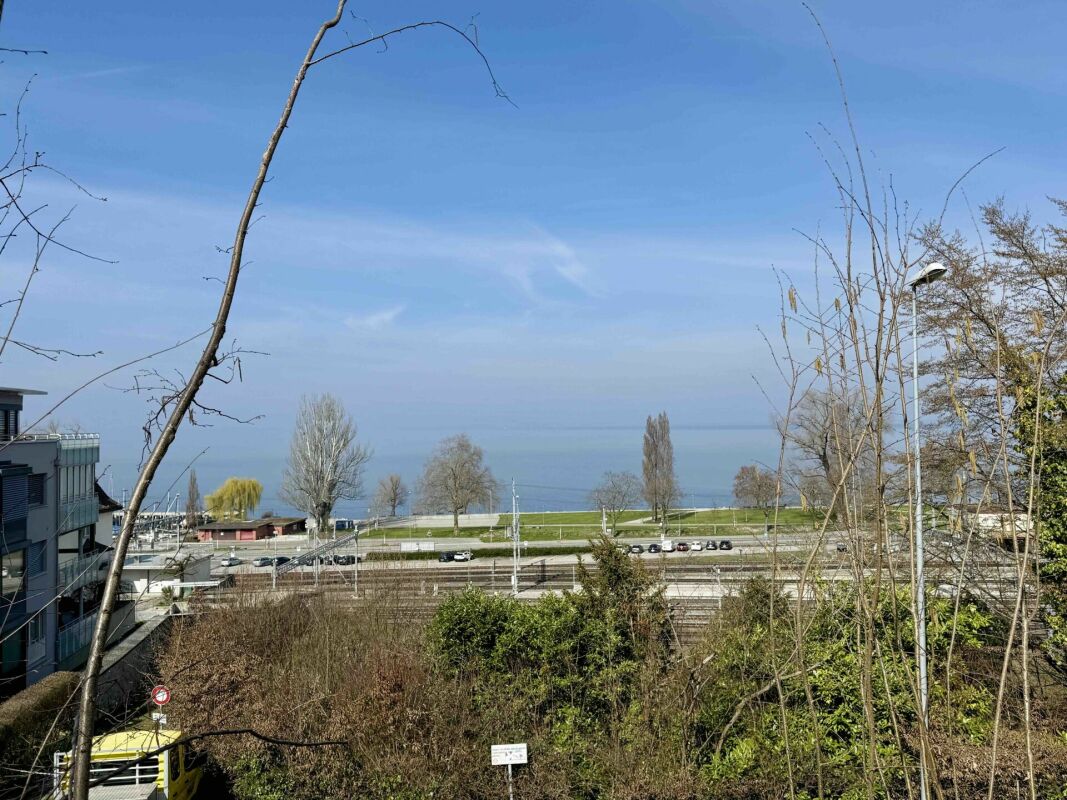 See- und Uferblick mit Straße und Bäumen