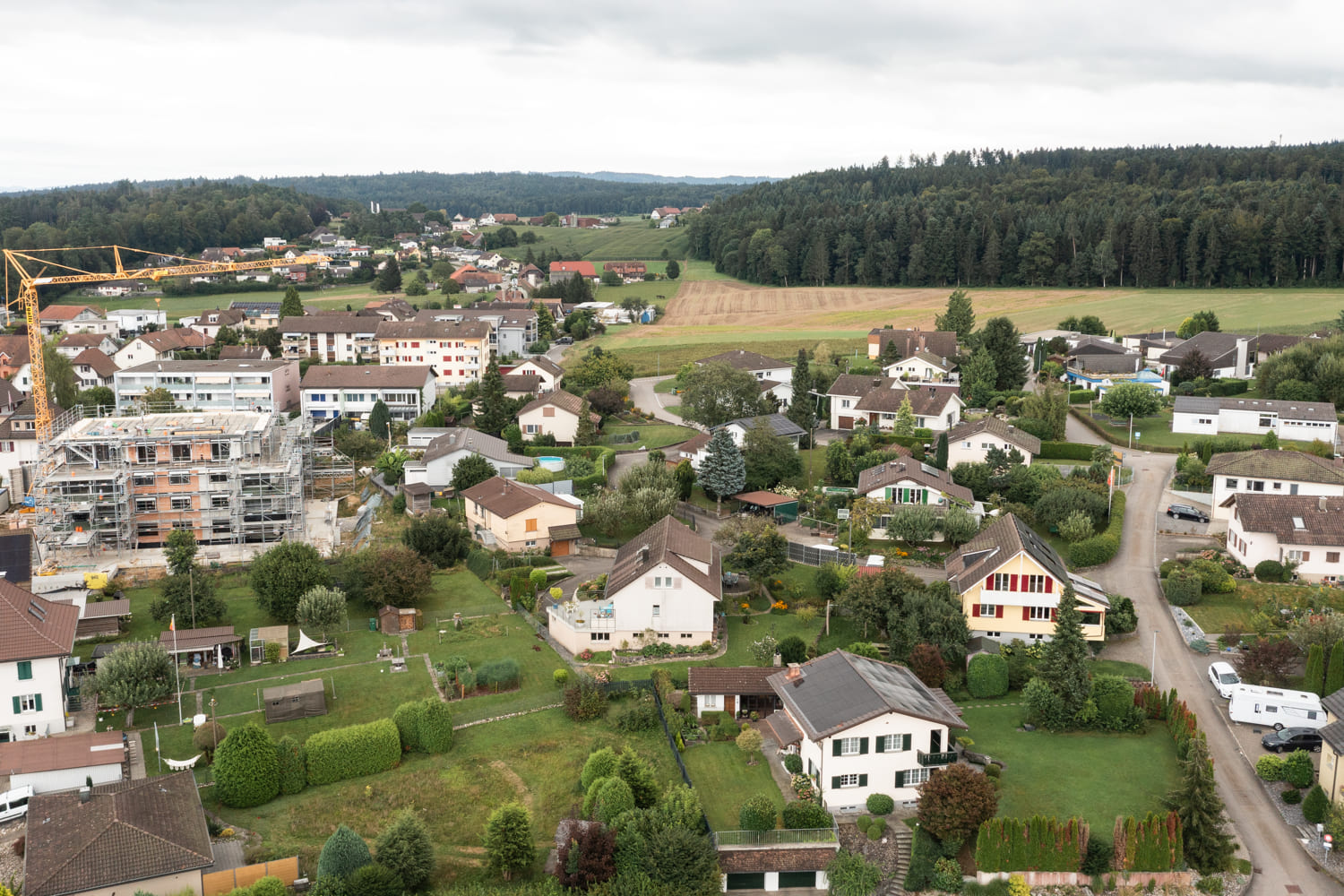 Luftaufnahme eines Wohnviertels im Grünen