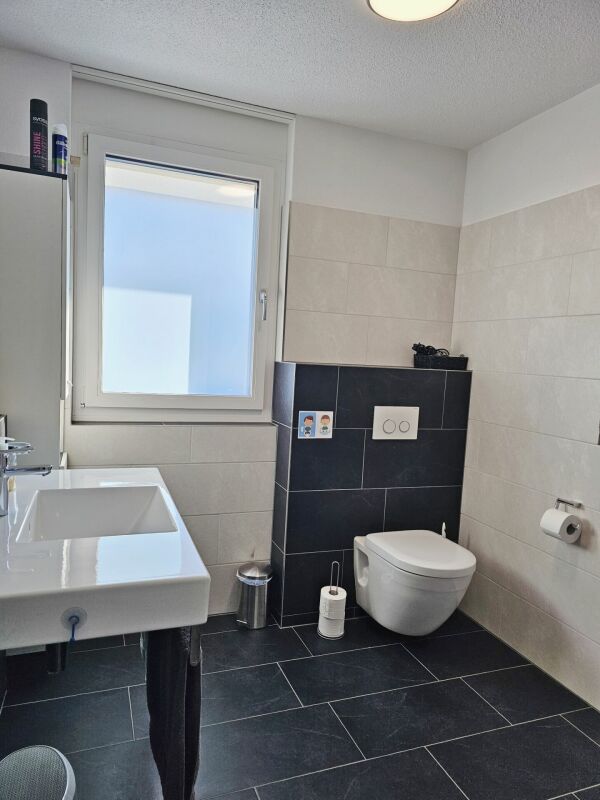 Modernes Bad mit WC und Waschtisch