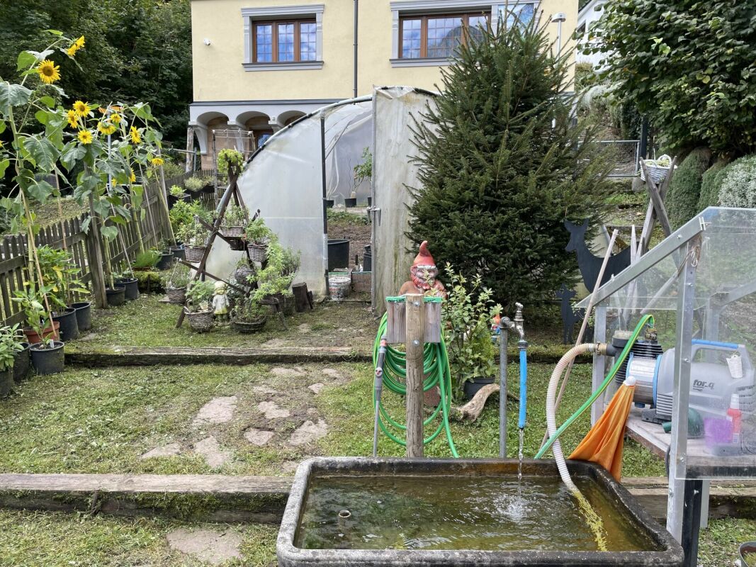 Garten mit Gewächshaus und Hausrückseite