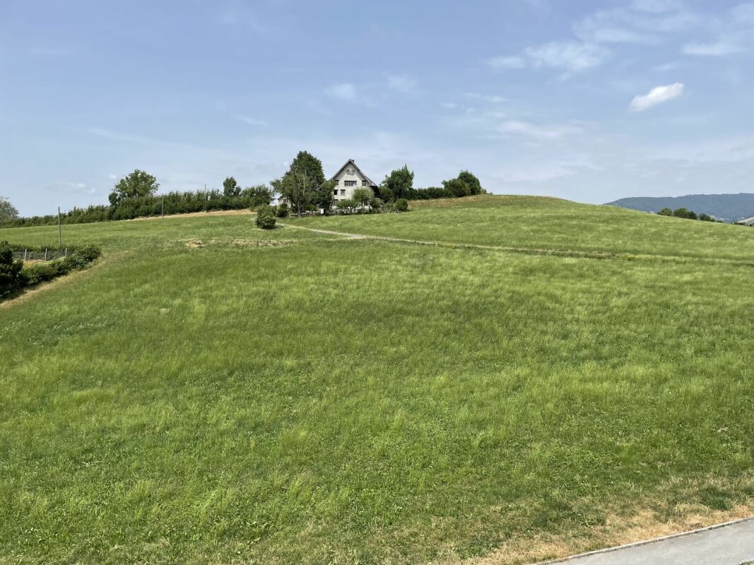 Ländliche Wiesenlandschaft mit Haus auf einer Anhöhe