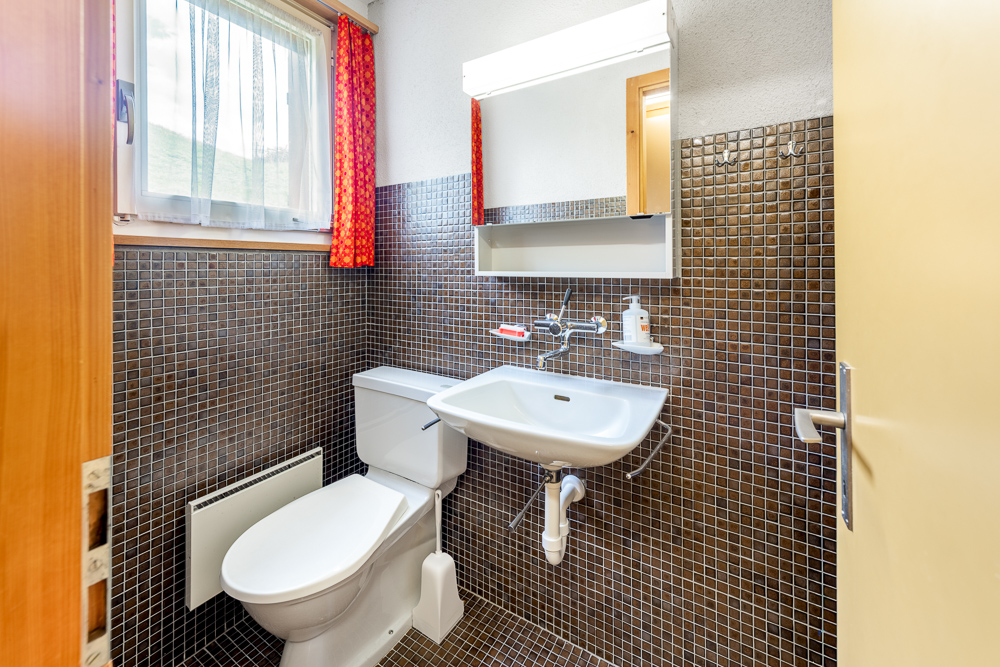 Kleines Gäste-WC mit Wandfliesen und Fenster