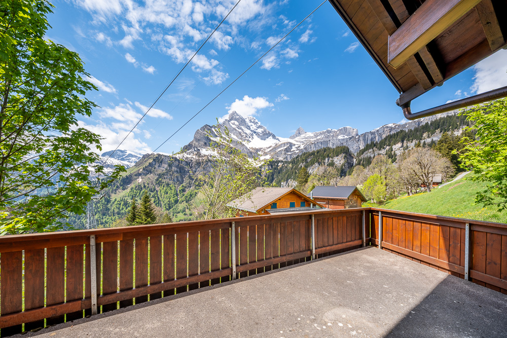 Balkon mit Alpenpanorama