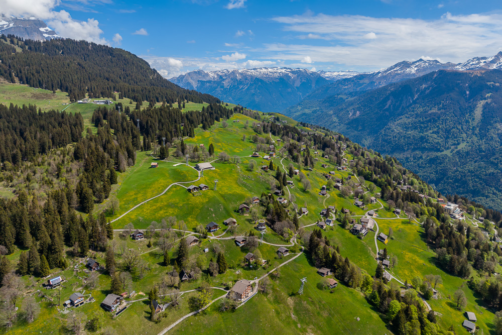 Alpine Landschaft mit verstreuten Häusern