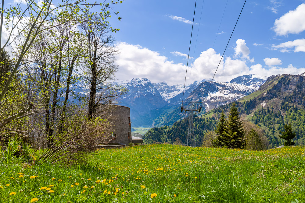 Alpine Wiese mit Bergpanorama
