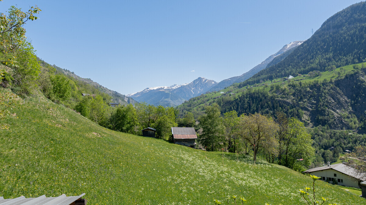 Alpine Landschaft mit Wiese und Bergpanorama