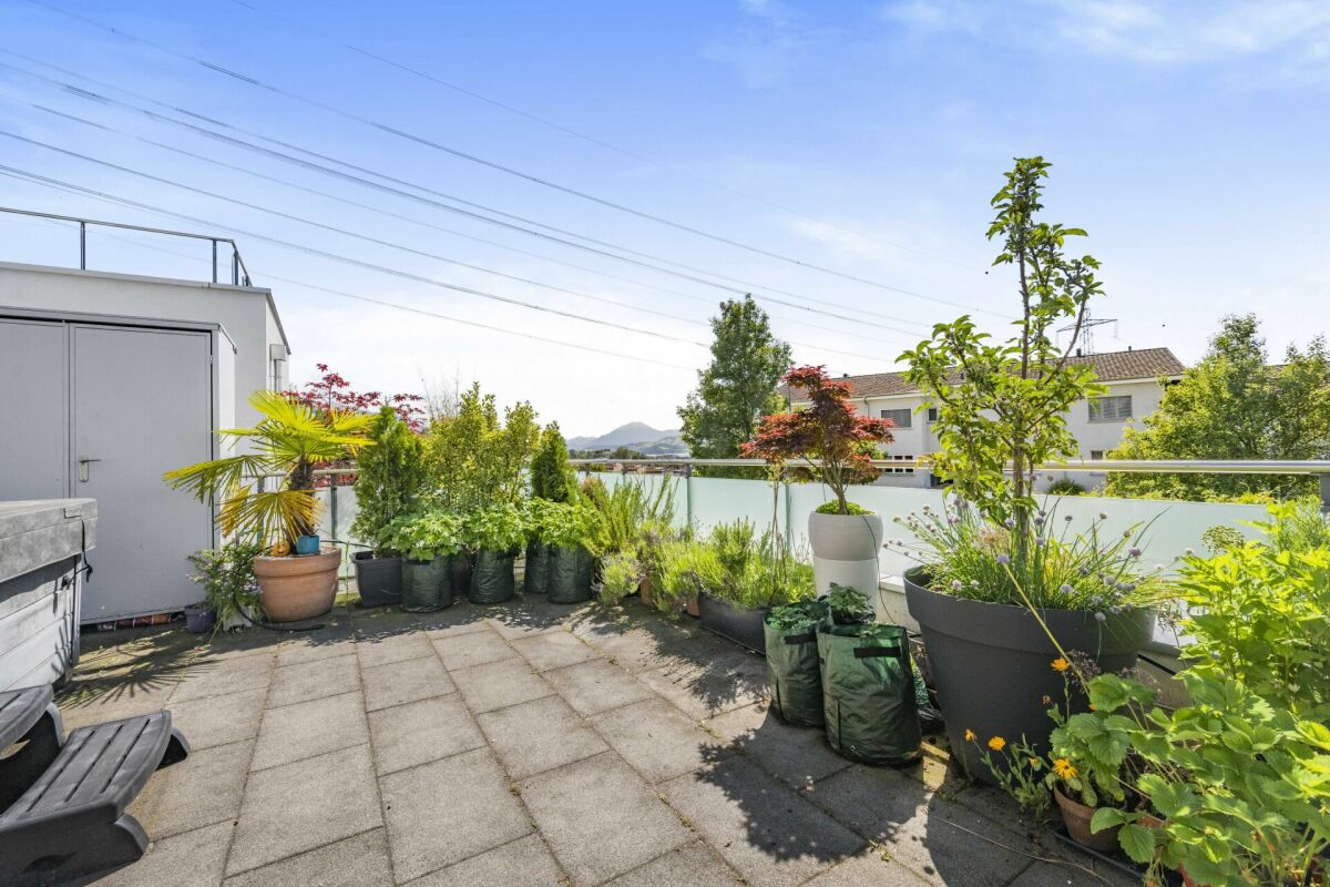 Dachterrasse mit Kübelpflanzen