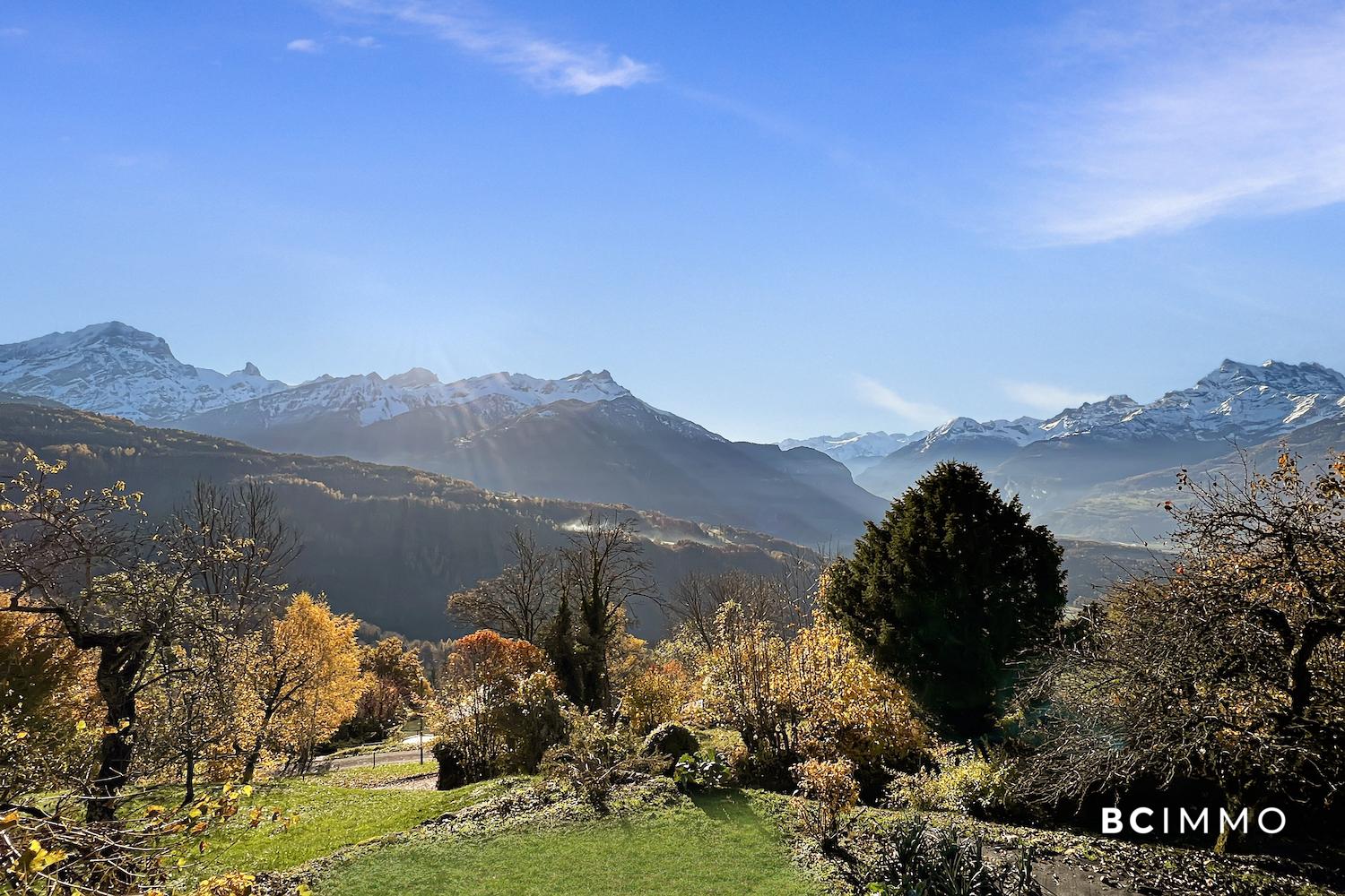 Bergpanorama mit Gartenblick