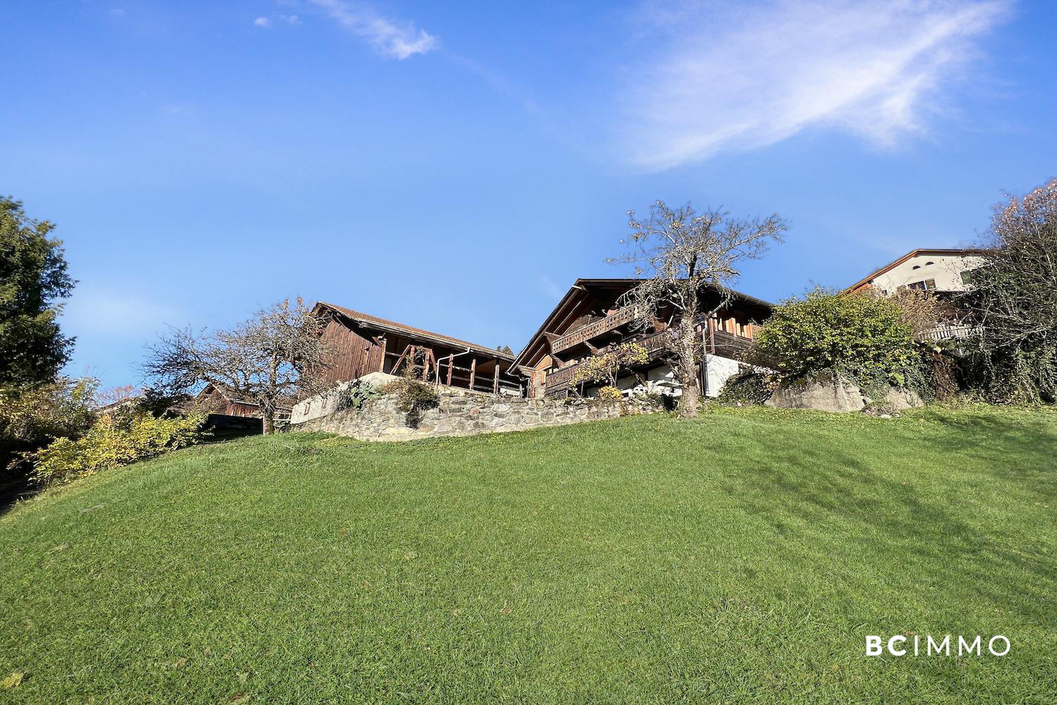 Alpen-/Landhaus-Anwesen mit großer Wiese