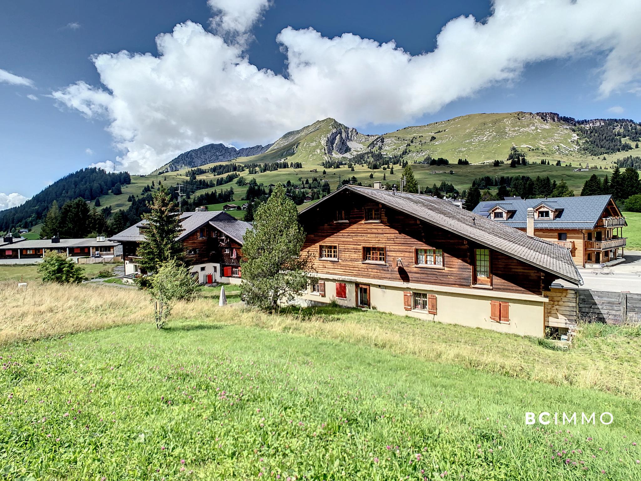 Alpines Dorf mit Bergpanorama