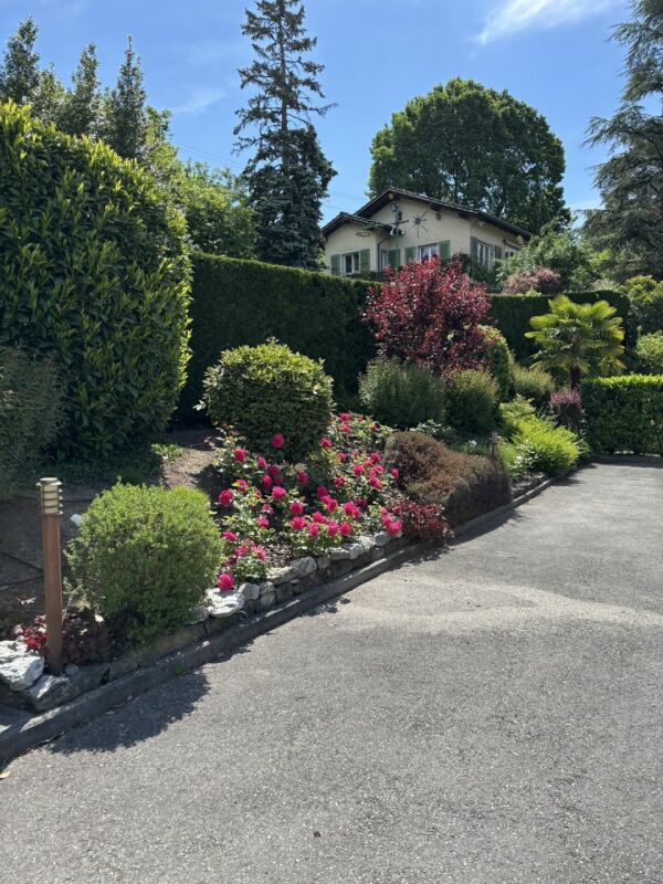 Gepflegter Garten mit Einfahrt und Haus im Hintergrund
