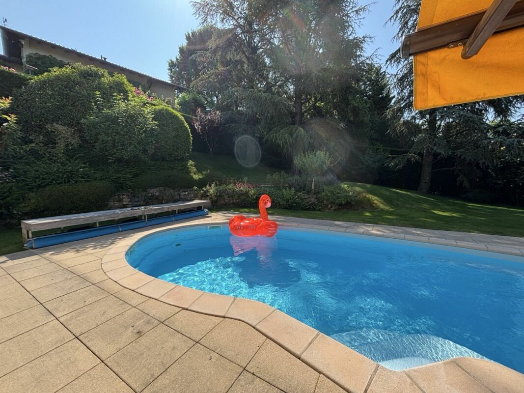 Garten mit Pool