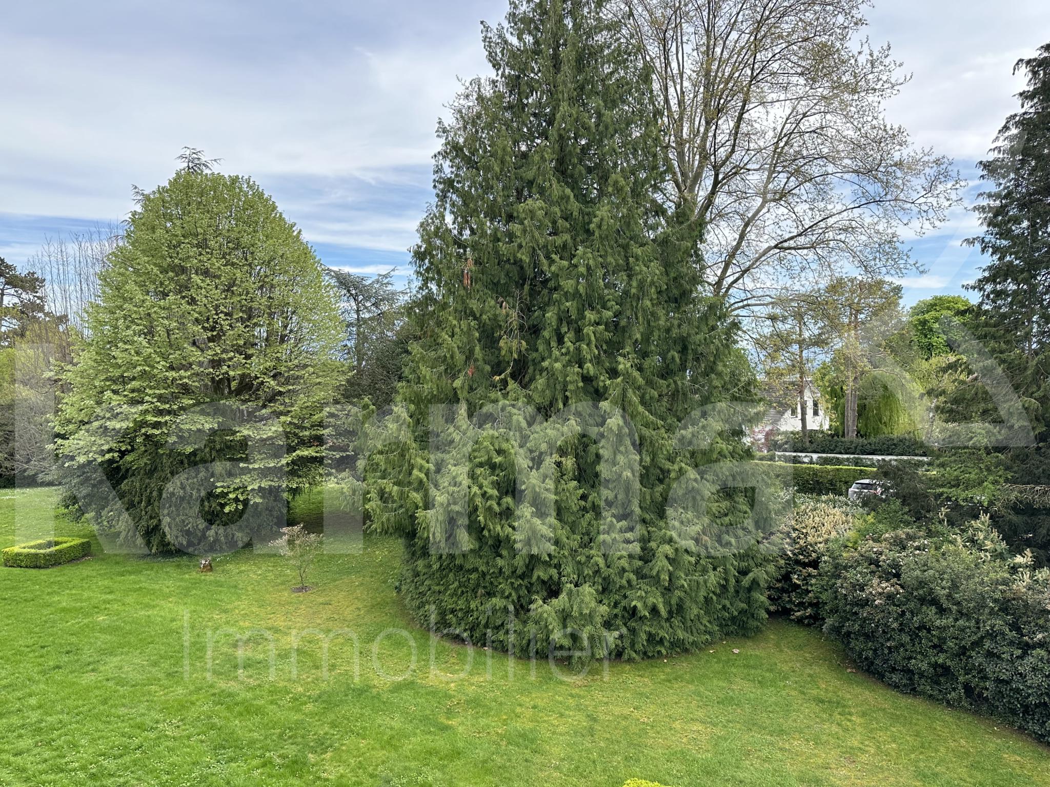 Großer gepflegter Garten mit hohen Bäumen