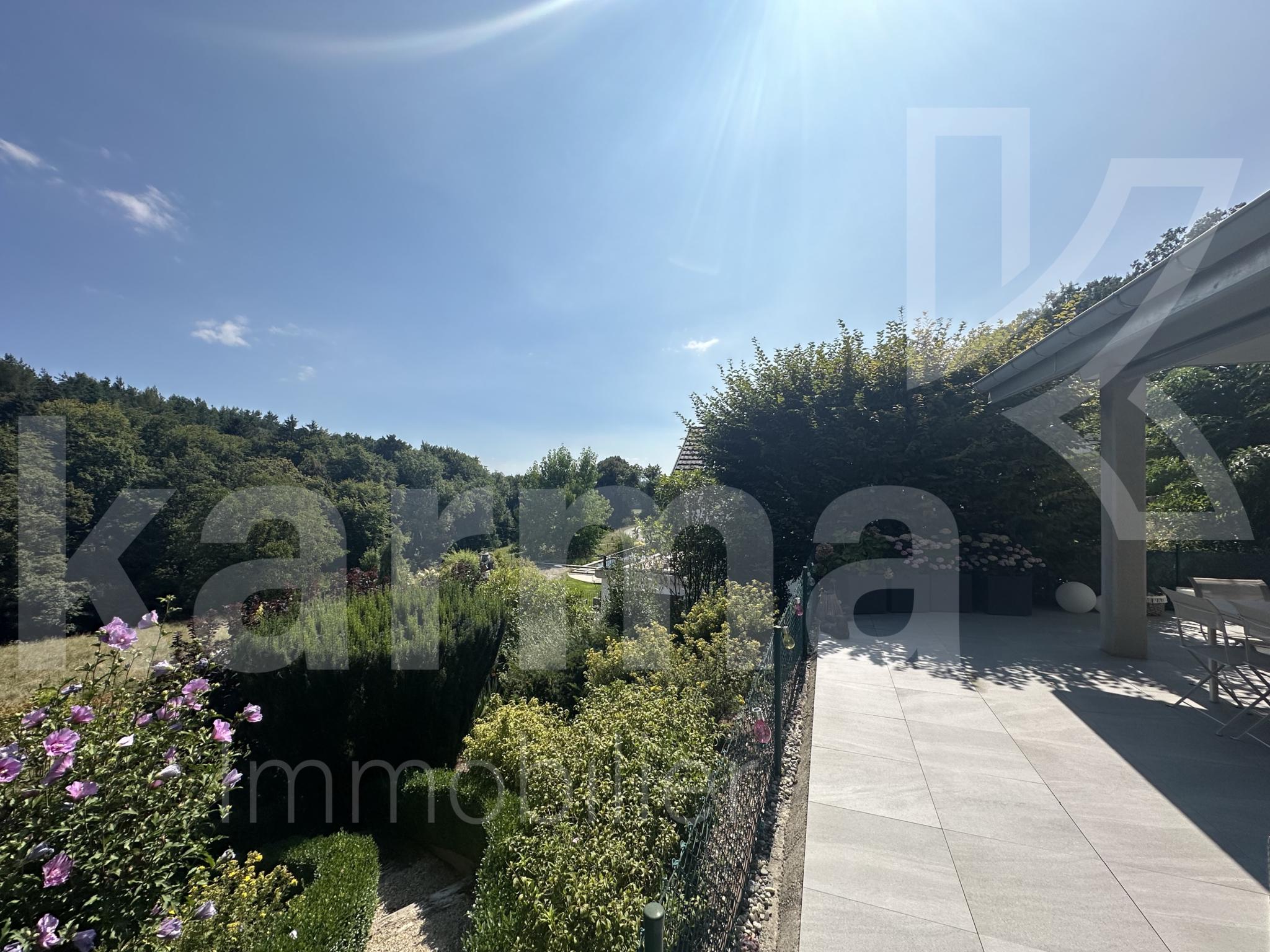 Garten- und Terrassenblick mit sonniger Außenfläche