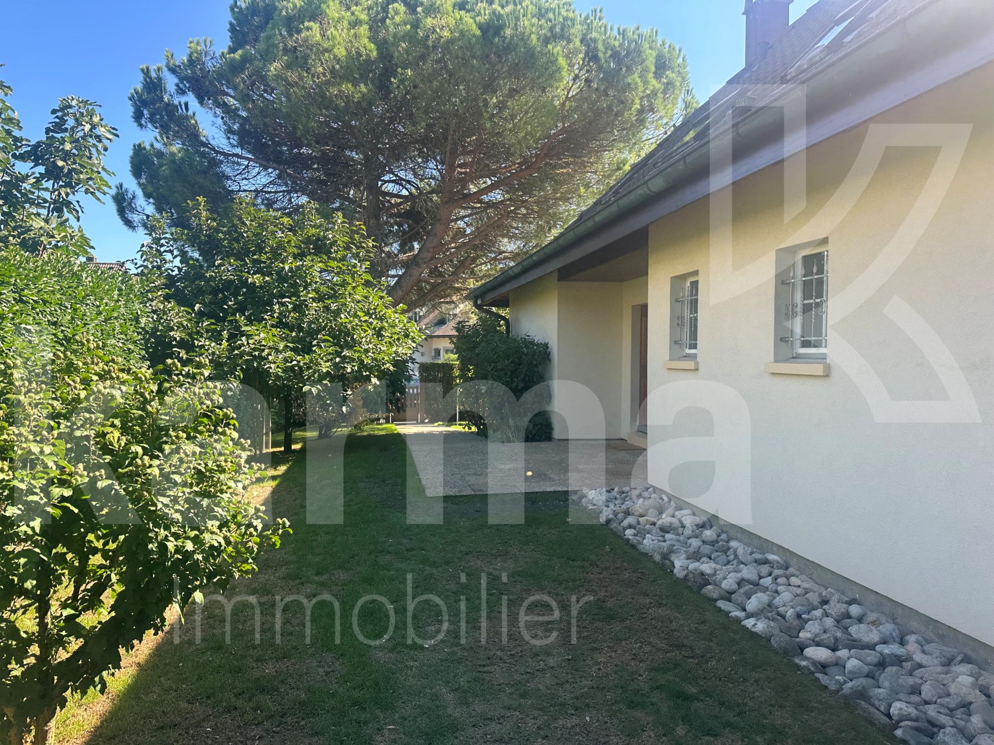 Gartenansicht eines Einfamilienhauses
