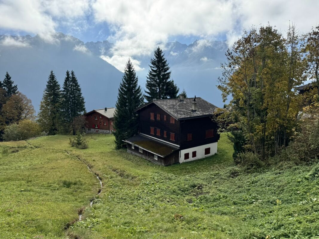 Alpines Haus mit Bergblick