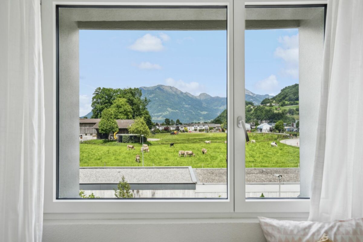 Blick aus dem Fenster auf Alpenwiese
