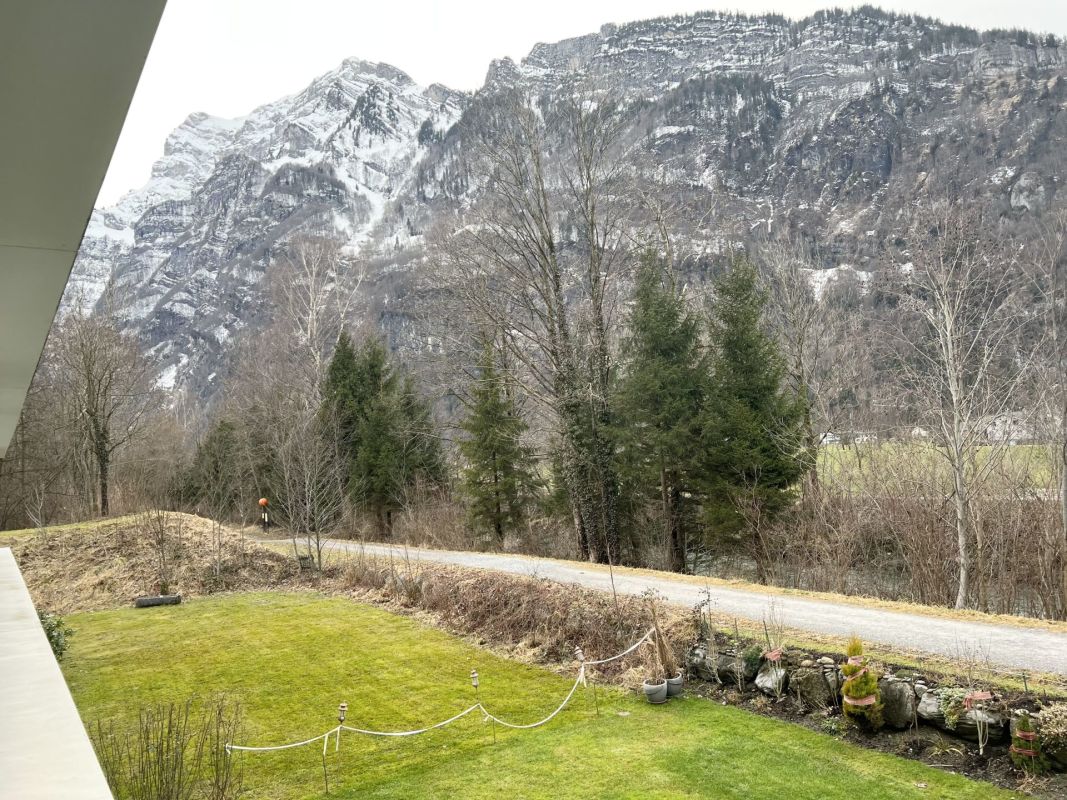 Alpenblick mit Garten