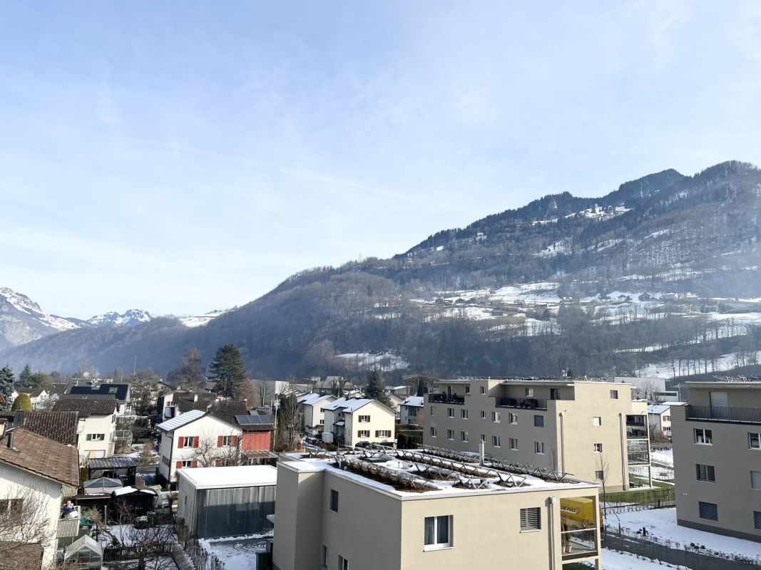 Bergblick über Wohnbebauung