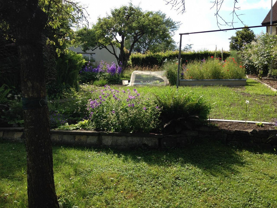 Garten mit Blumenbeeten