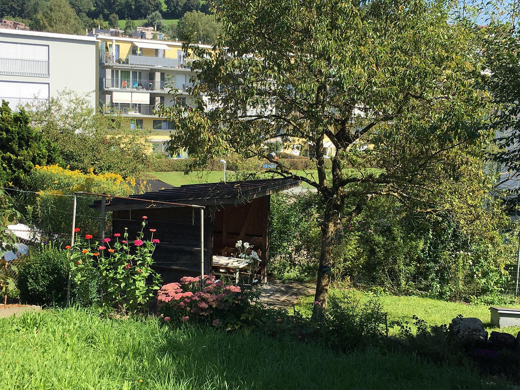 Garten mit Schuppen und Wohnhaus im Hintergrund