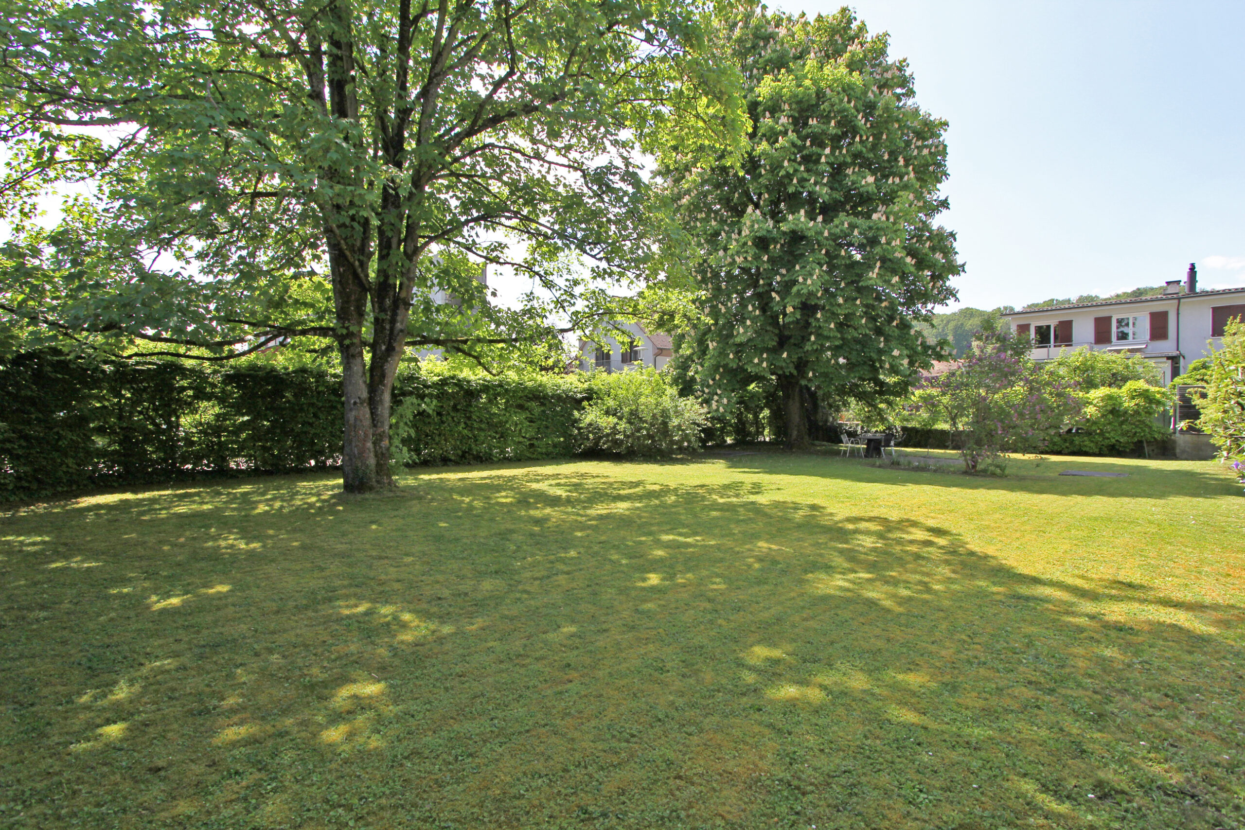 Großer Garten mit Rasen und Bäumen
