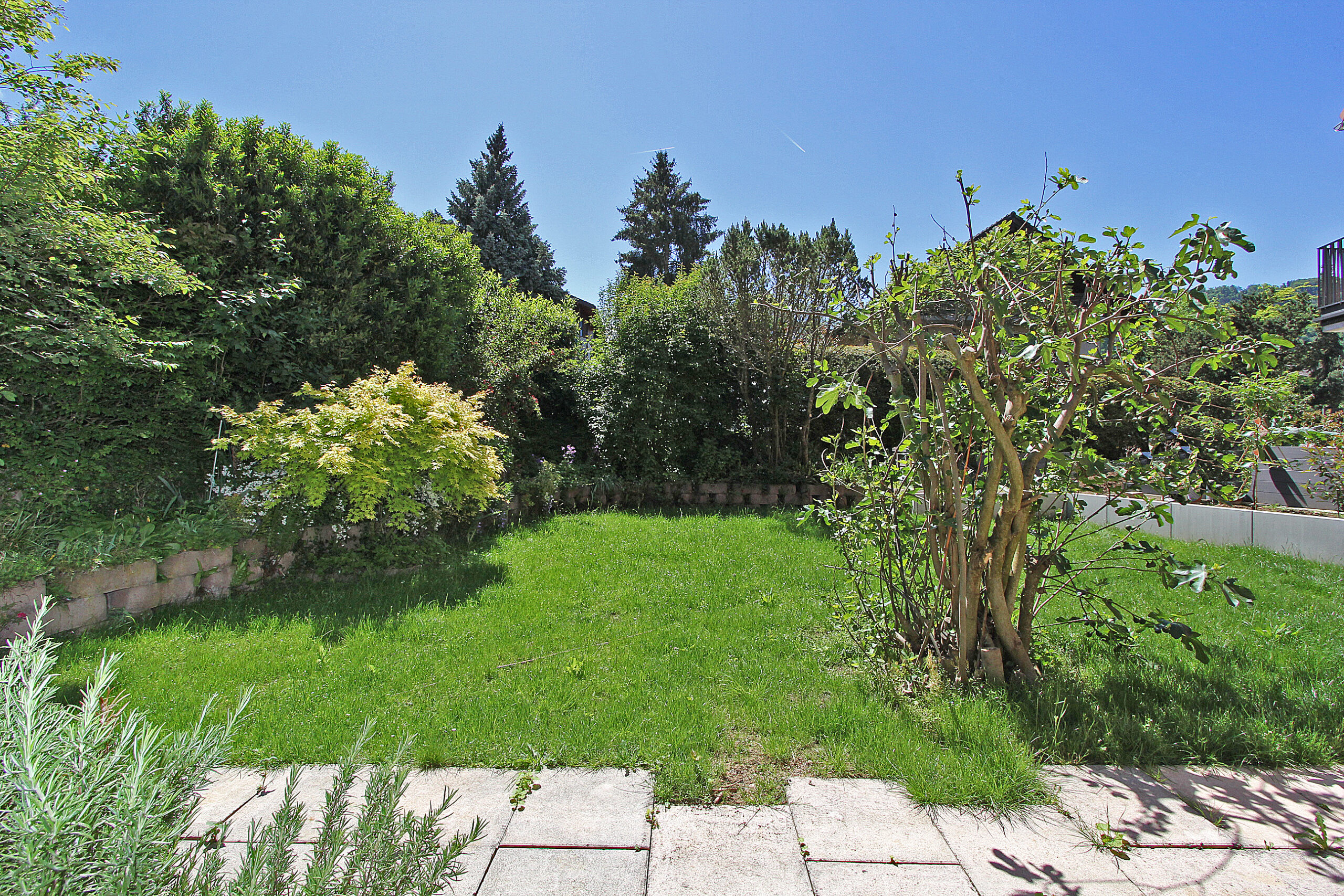 Großer gepflegter Garten mit Rasenfläche