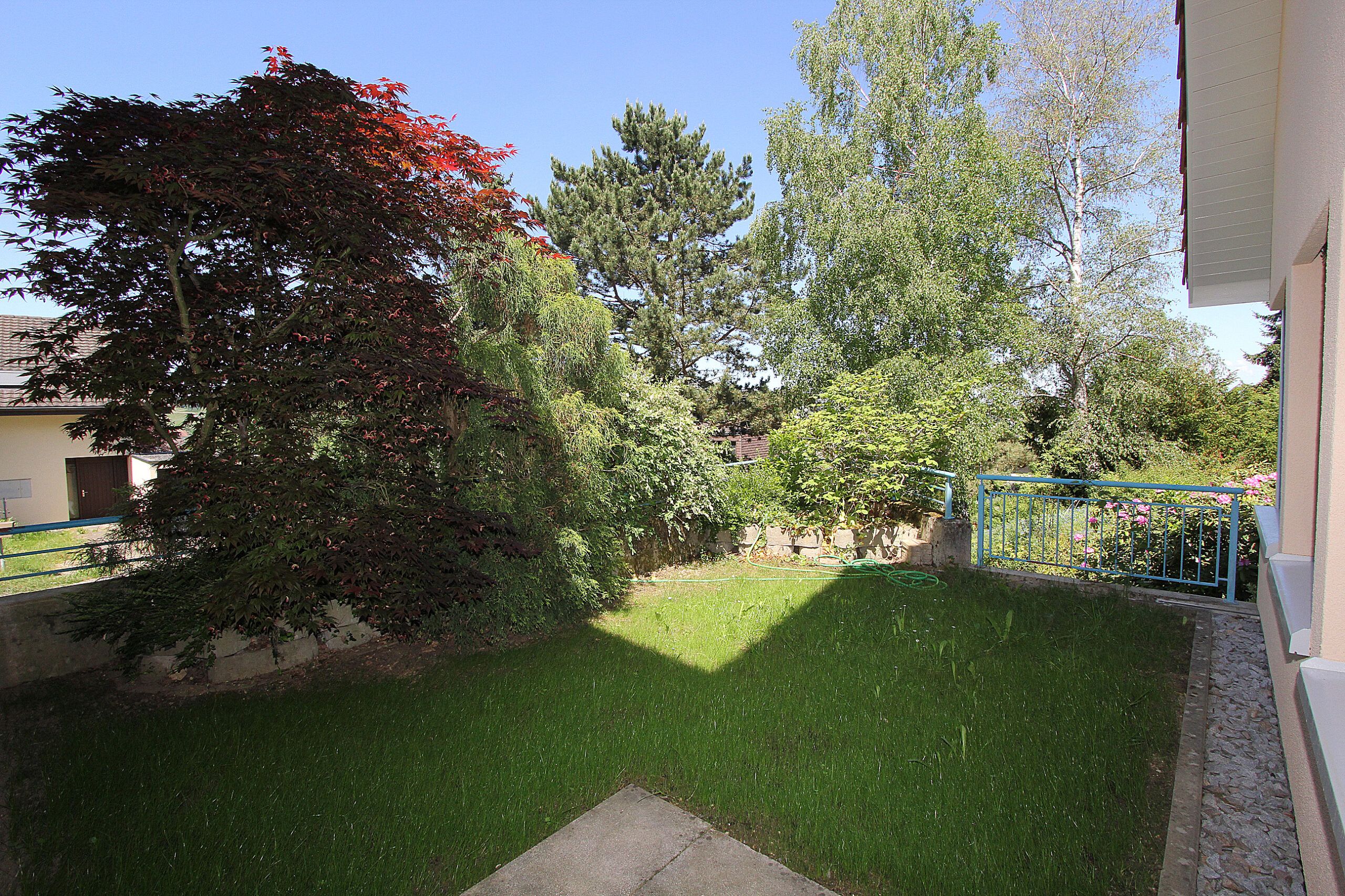 Gartenblick mit Terrasse und Bepflanzung