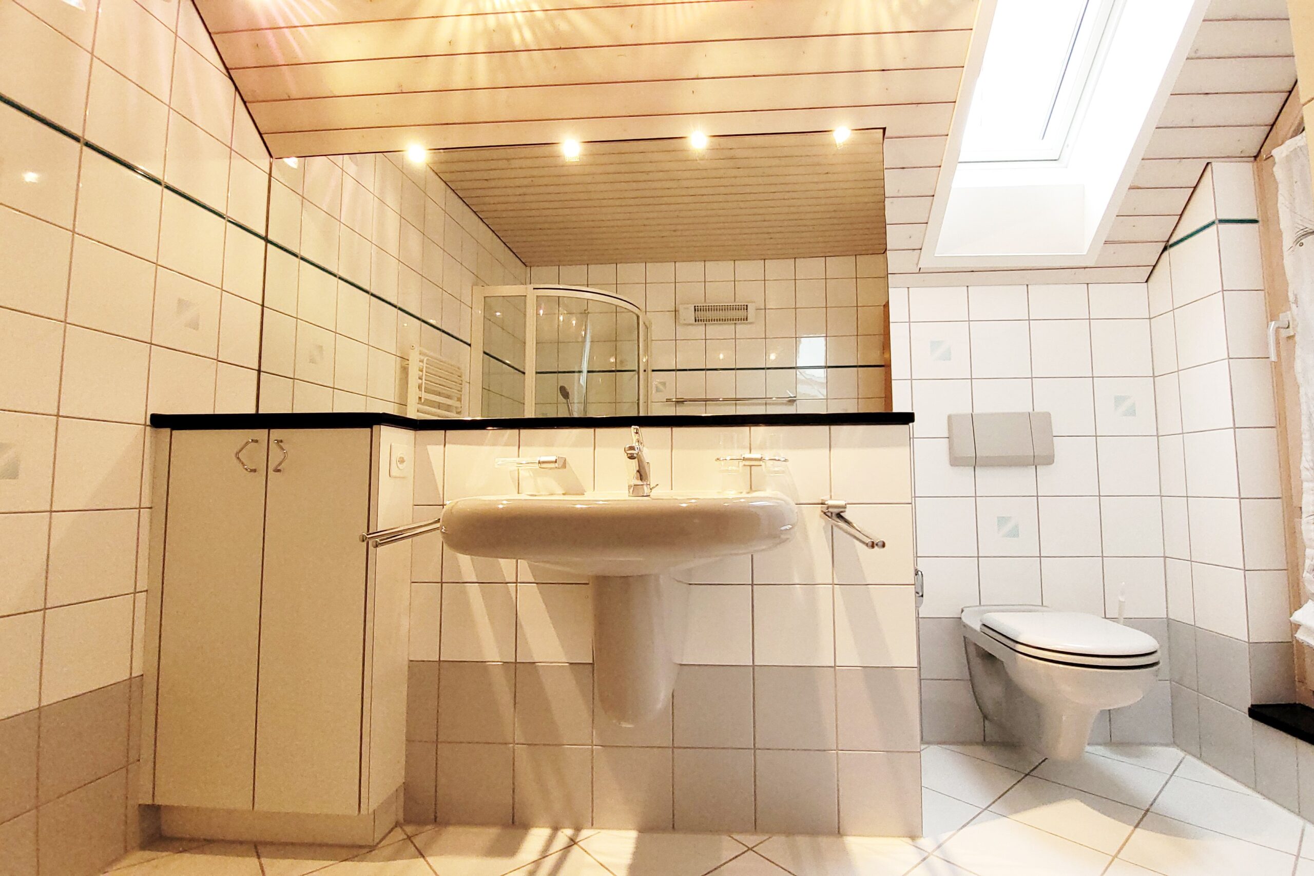 Badezimmer mit Dachfenster