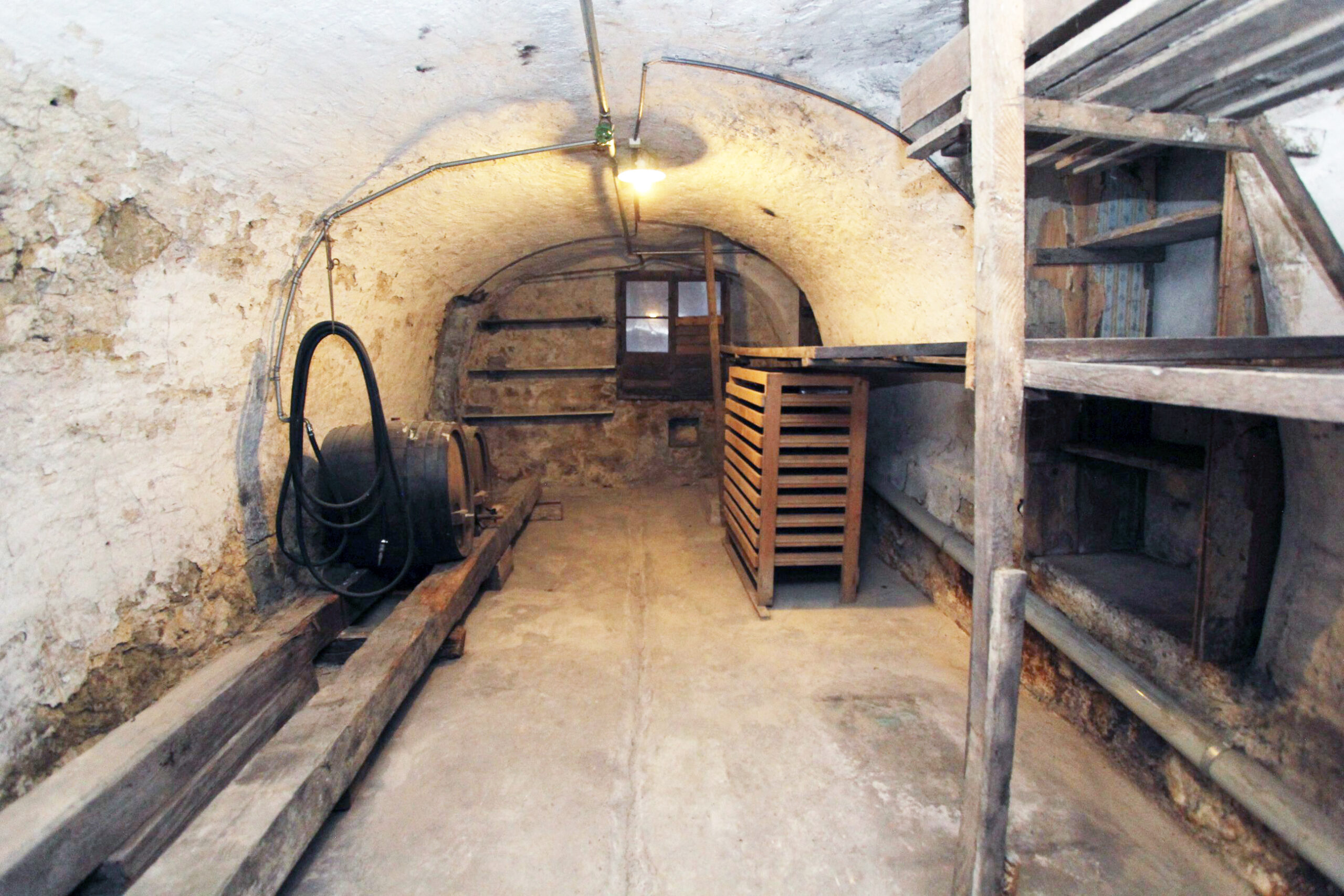 Gewölbter Kellerraum mit Regalen