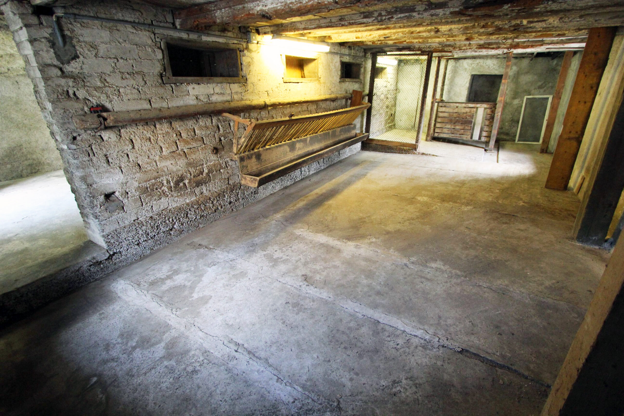 Kellerraum mit rohen Wänden und Betonboden
