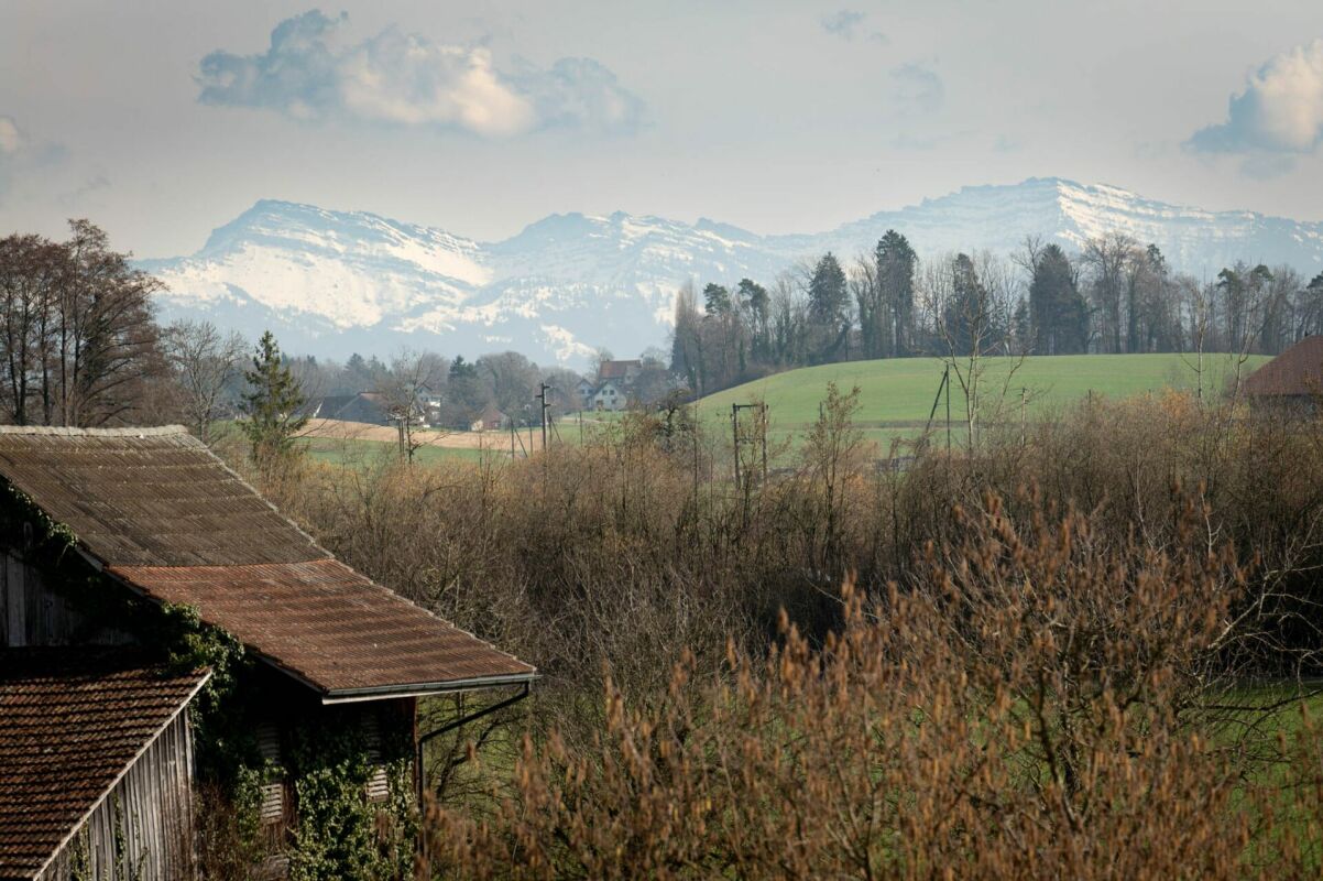Landschaft mit Bergblick