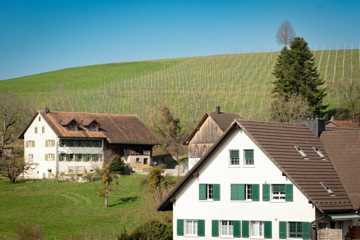 Ländliche Häuser am Hang mit Weinberg im Hintergrund