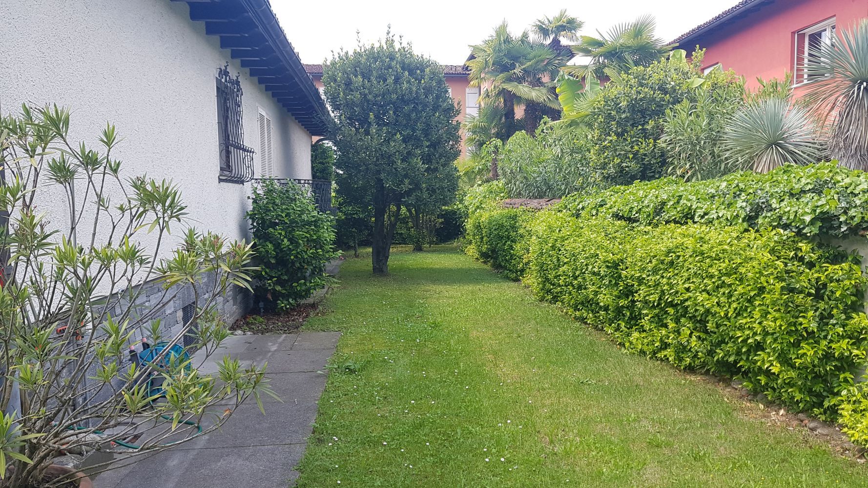 Garten zwischen zwei Gebäuden