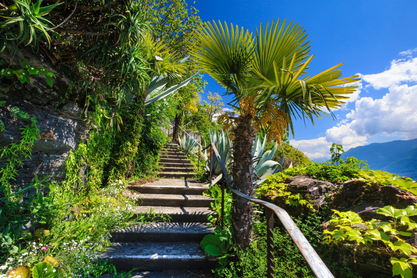 Tropischer Gartenweg mit Treppe
