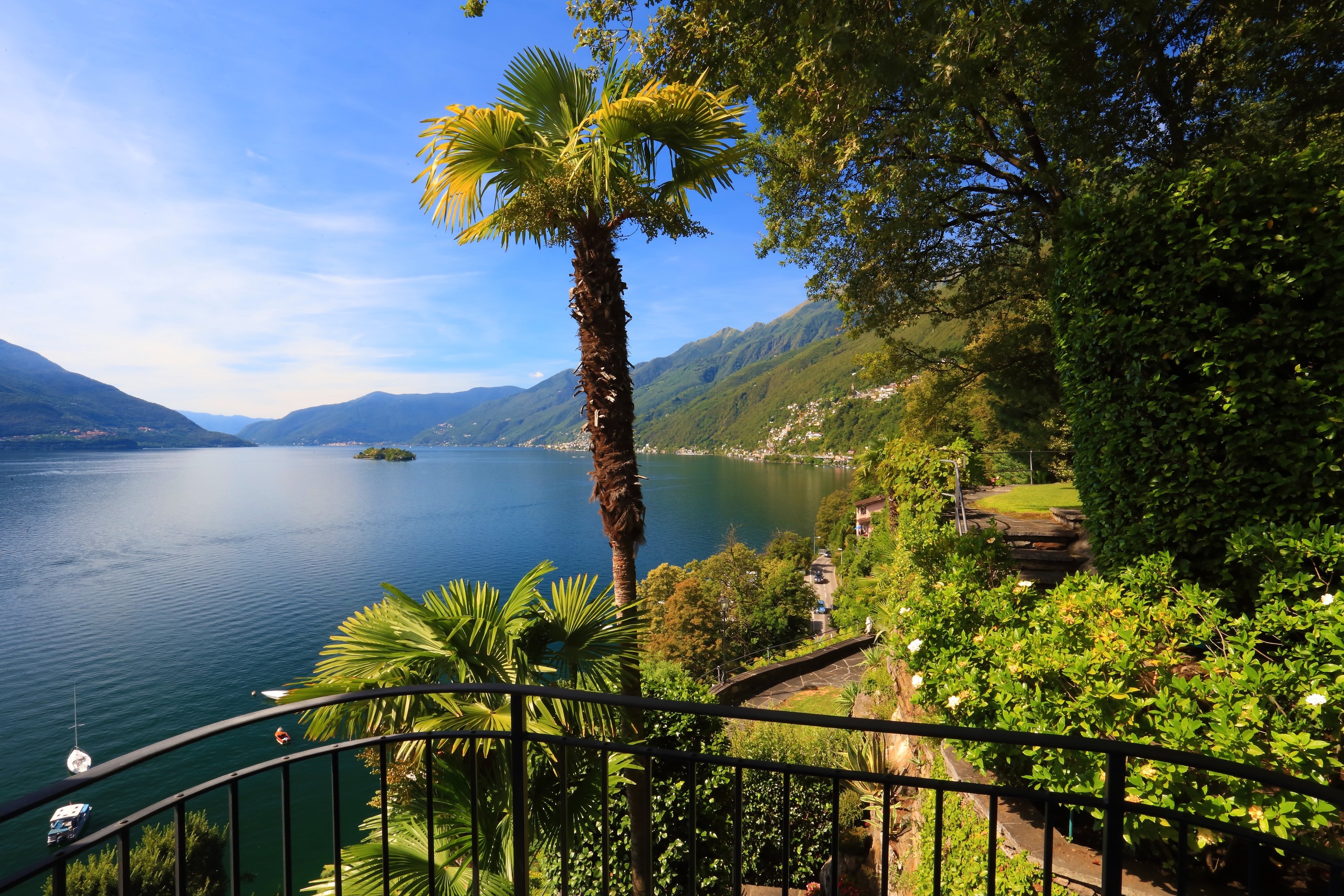 Seeblick mit tropischer Vegetation