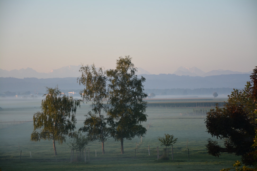 Landschaft mit Bergblick