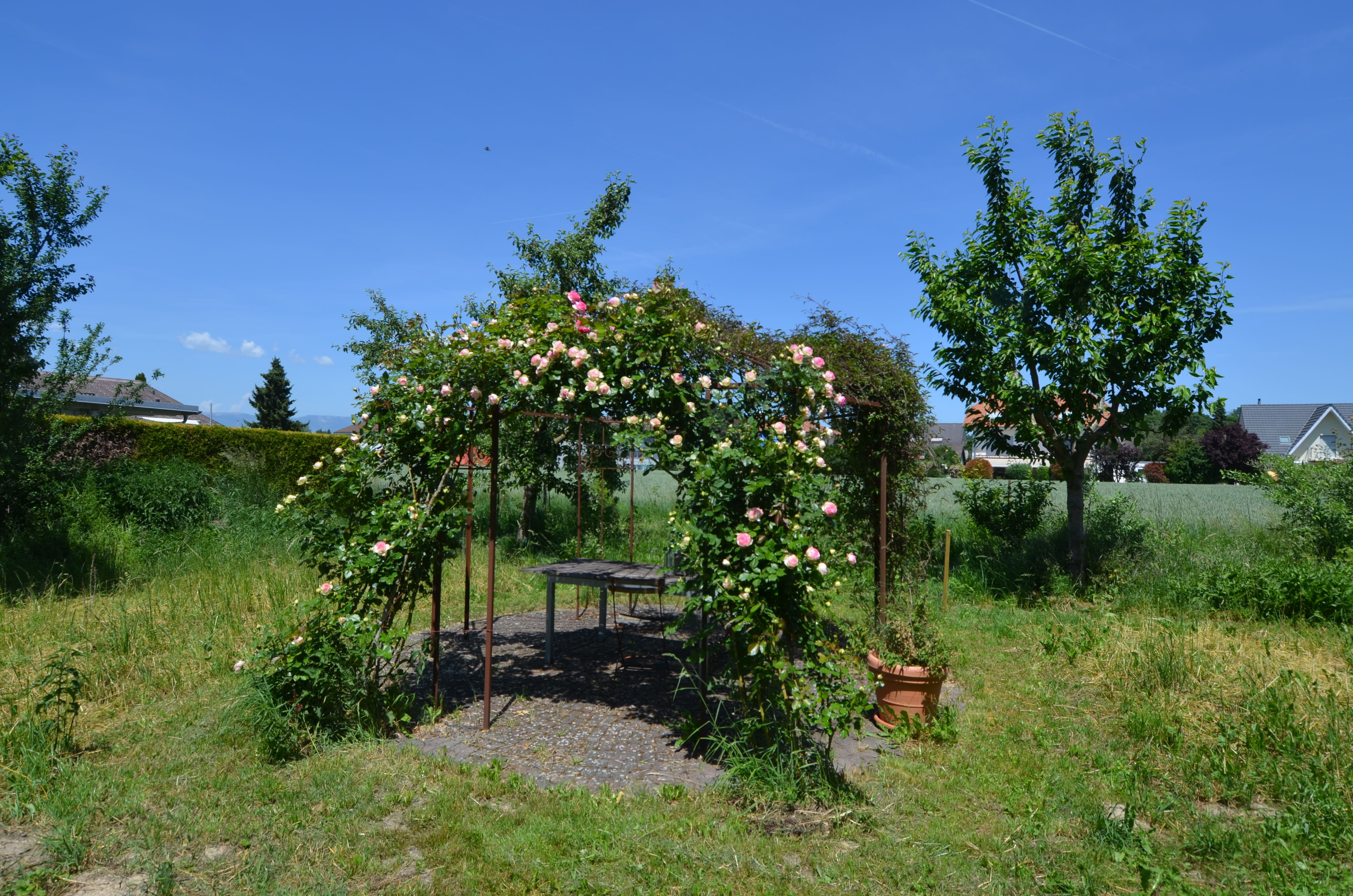 Garten mit Rosenpergola