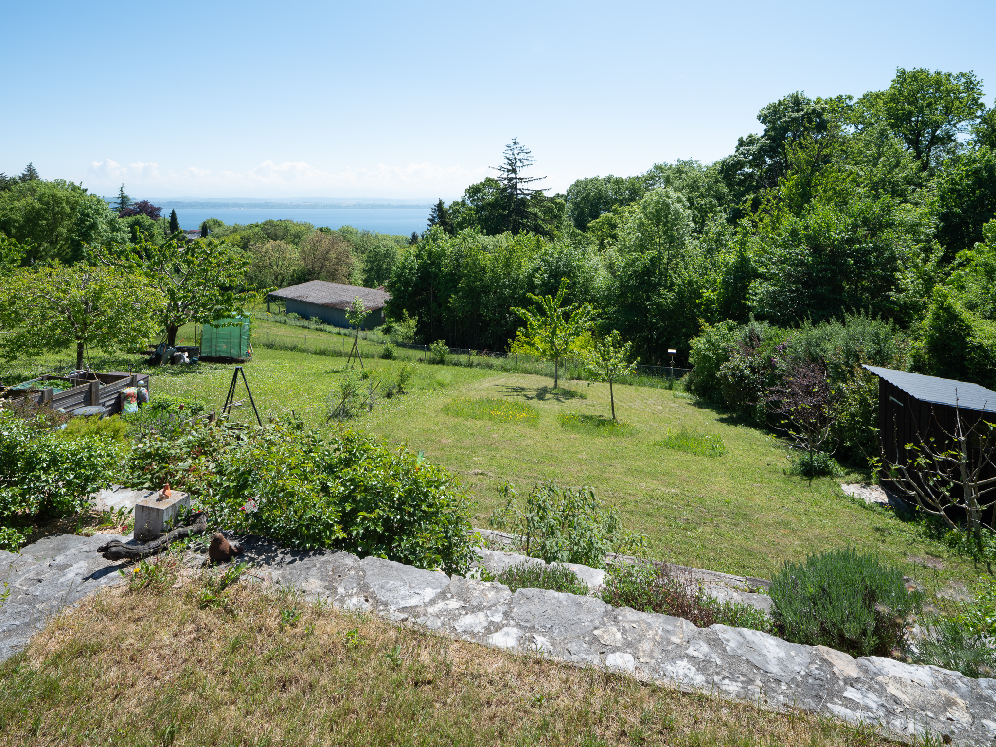 Landschaftlicher Garten mit Seeblick